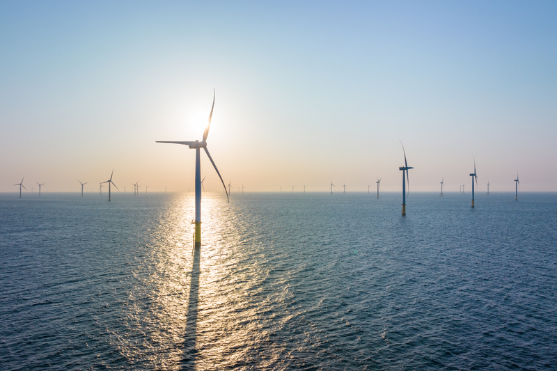 “Offshore wind is only getting started” – are you considering making the switch? | Siemens Gamesa Renewable Energy