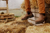 The Carhartt Occupational Work Boot range