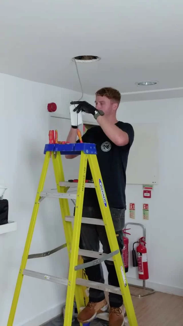 Cetus3 Downlight's from Thorn Lighting - REVIEW ⭐⭐⭐⭐⭐

For more information visit - https://bit.ly/3Up9lDd 
Or watch the full video on our YouTube channel here: https://youtu.be/TcNN5WNuZw8 
.
.
.

#electrician #electrical #electricianlife #proelectrician #review #thornlighting #cetus3 #downlights #lightingdesign #lighting #sparky #lightfixtures